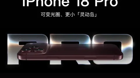 塔皮亚与互动喜报连连，友谊赛事或将计入停赛日历
